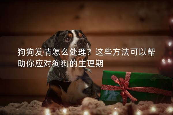 狗狗發(fā)情怎么處理?這些方法可以幫助你應(yīng)對狗狗的生理期